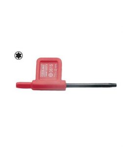 Bayrak Tornavidalar (Torx Uçlu)